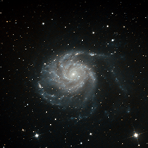 M101
