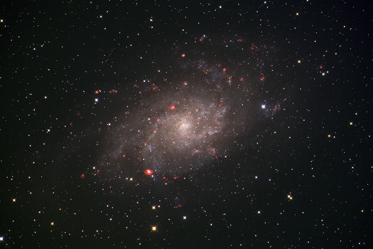 M33