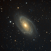 M81