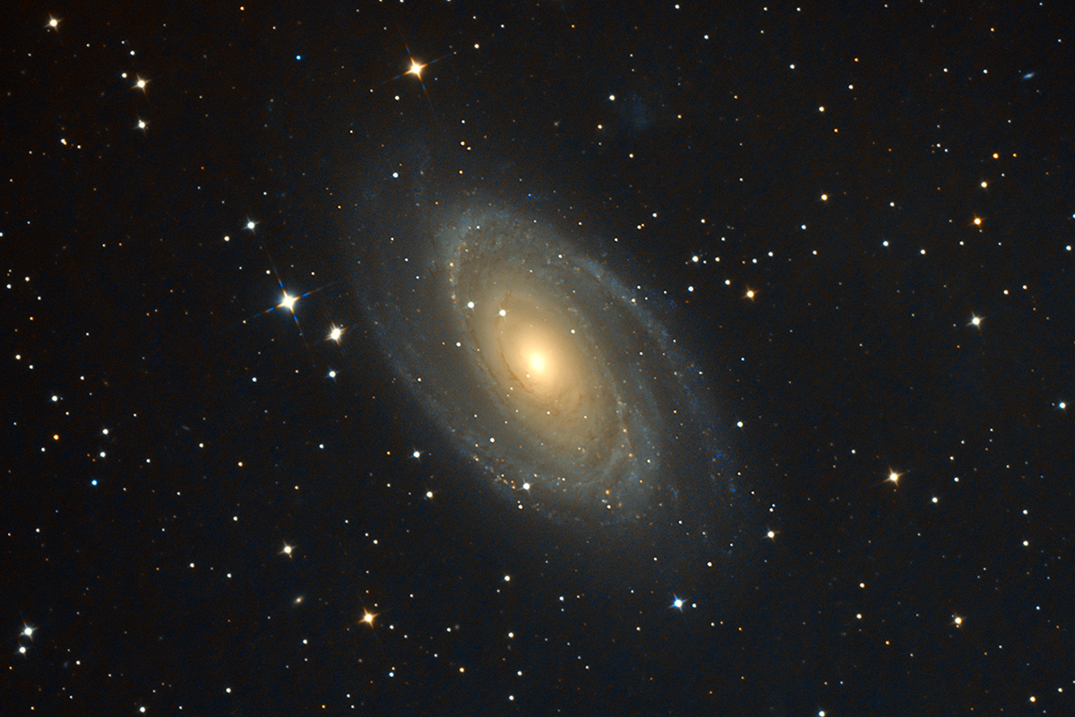 M81