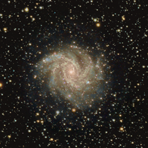 NGC6946