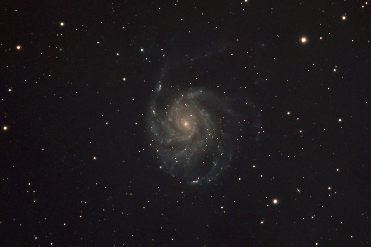 M101